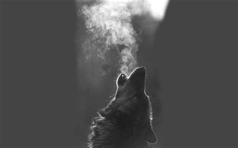 Wolf Howling At The Red Moon Wallpaper 62 Pictures