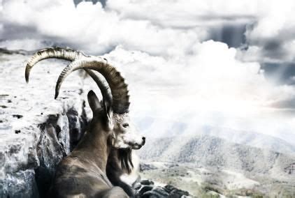 Find out the celebrity horoscopes having the 1st house in the astrological sign of capricorn with just click on the celebrities of your choice to get their horoscope, planetary dominants and excerpts. Getting to Know the Capricorn Male | Capricorn man ...