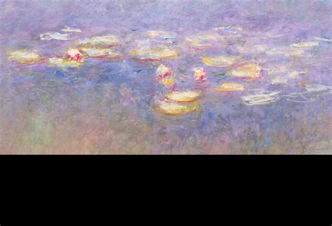 Close Look Claude Monets Water Lilies Saint Louis Art Museum
