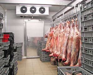 Cold Room For Meat Storage Refrigeration Technologies