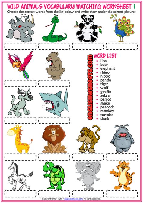 Wild Animals Esl Vocabulary Matching Exercise Worksheets