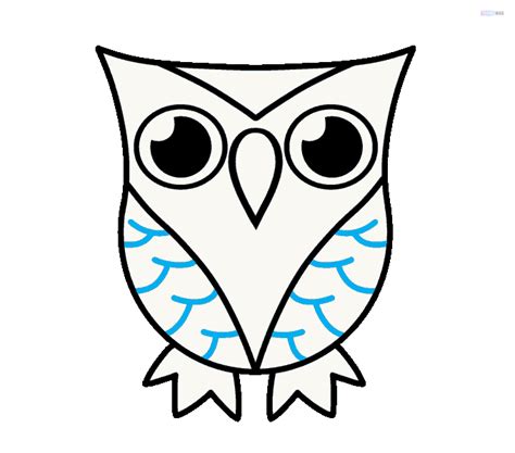 How To Draw An Owl Easy Tutorial Toons Mag