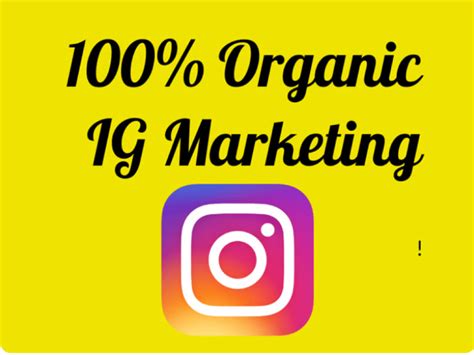 Instagram Organic Growth Followers And Engagement Upwork