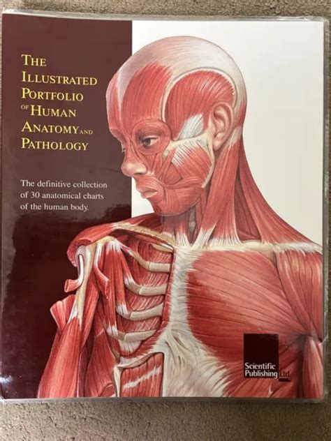 The Illustrated Portfolio Of Human Anatomy And Pathology Spiral Bound