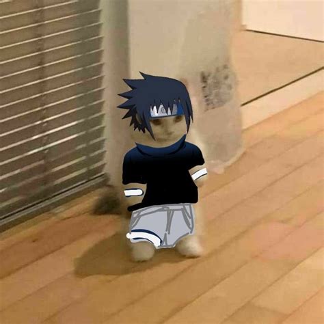 Gatito Sasuke Naruto Em 2021 Fotos De Anime Engraçada Ícone De Gato