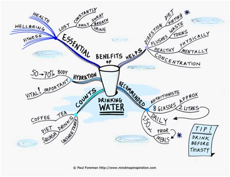 Benefits Of Drinking Water Mind Map