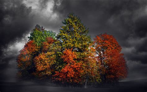 Bäume Nacht Wolken Herbst 3840x2160 Uhd 4k Hintergrundbilder Hd Bild