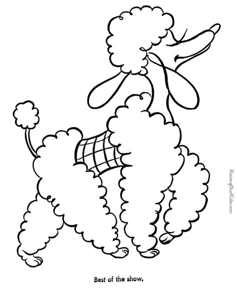 Usually black, white, or apricot, which are. Poodle Coloring Pages - Coloring Home