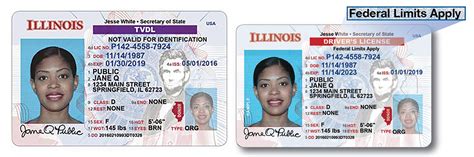 Illinois To Make Standard Drivers Licenses Available To Noncitizens