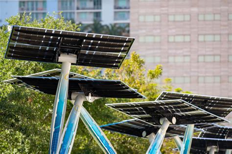 Solar Trees Guide For 2024 Solar Panels Network Usa