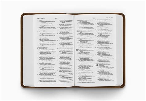 Esv Value Compact Bible Trutone Brown English Standard Version