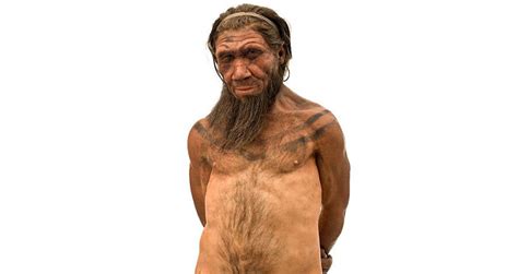 Neanderthal And Homosapien Differences