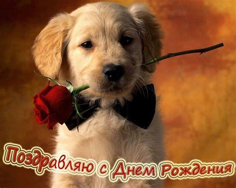 Скачай geminorum happy birthday (dance remix) и hot beat happy birthday (electro). 9 best images about Russian Greeting , birthday cards on Pinterest