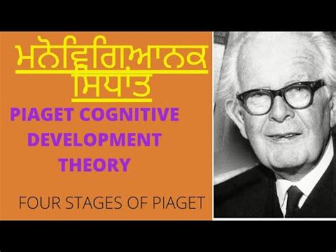 PSTET CTET B Ed KVS Jean Piaget Cognitive Theory Schema