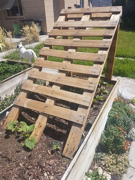 Made A Cucumber Trellis Out Of An Old Pallet Definitely Heavy Duty