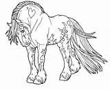 Horse Coloring Palomino sketch template