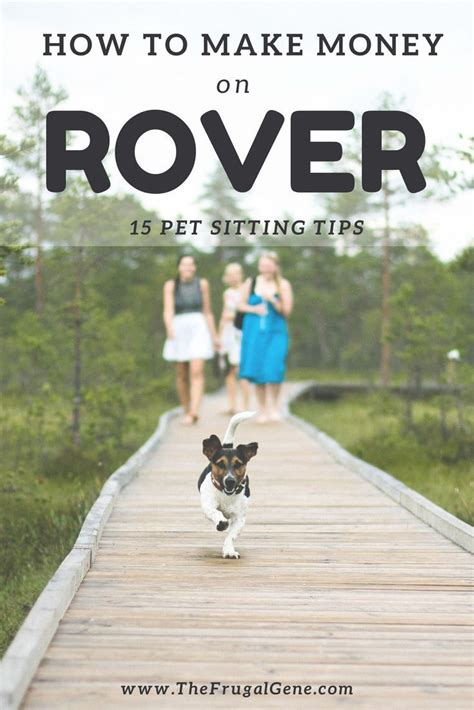 Start Your Own Pet Sitting Business On Rover And Earn Extra Money At