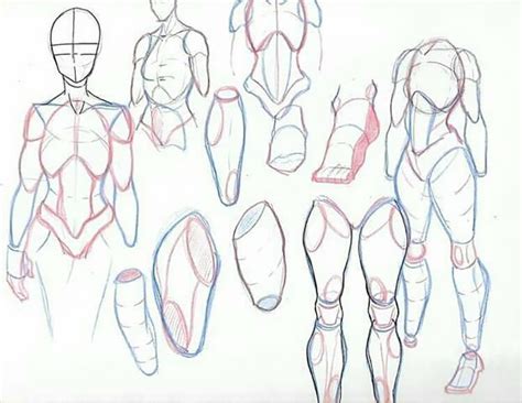 Human Anatomy Drawing Ideas And Pose References Beautiful Dawn Designs