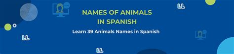 Names Of Animals In Spanish Lingua Linkup