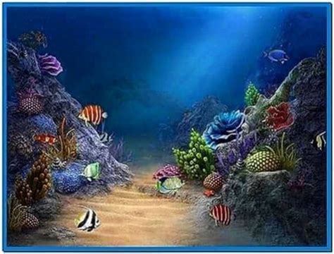 Aquareal 3d Sea Aquarium Screensaver Download Screensaversbiz