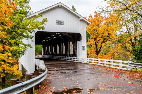 Experience 6 Of The Best Covered Bridges In Oregon On This Day Trip