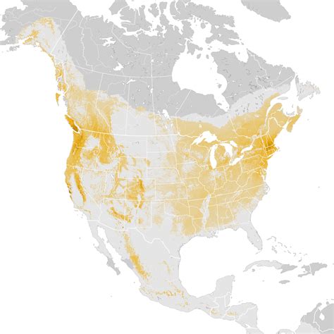 Brown Creeper Abundance Map Post Breeding Migration Ebird Status