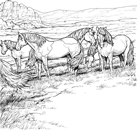 Desenho De Cavalos No Curral Para Colorir Tudodesenhos