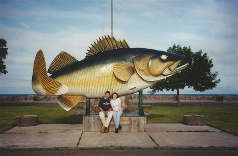 The Big Fish General Discussion Forum General Discussion Forum In