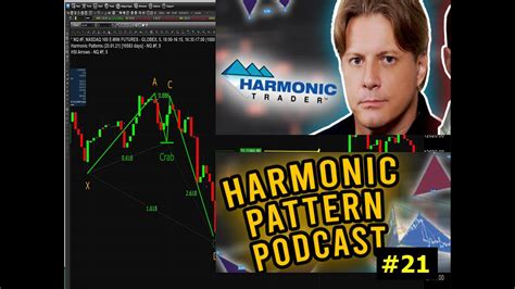 Harmonic Pattern Podcast 24 With Scott Carney Harmonic Holidays