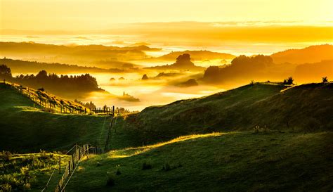 New Zealand Foggy Golden Sunrise A Photo On Flickriver