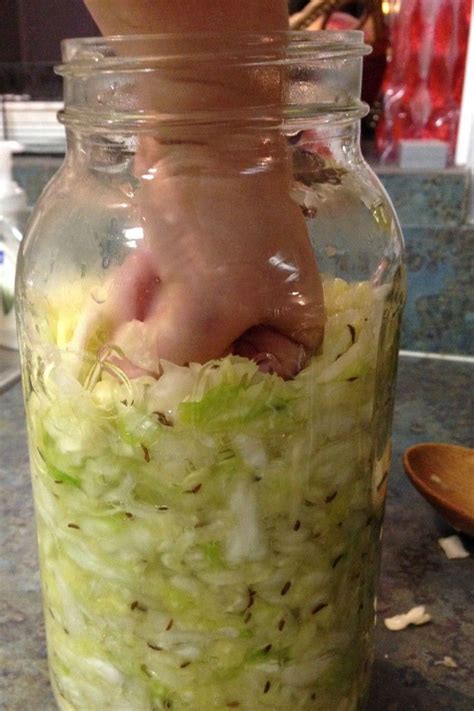 a lesson in souring your cabbage for saurkraut saurkraut recipes fermentation recipes