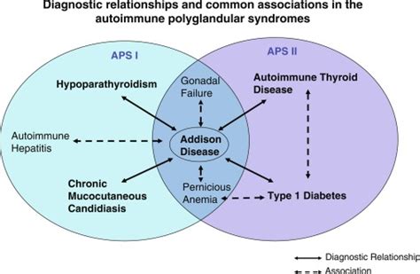 Autoimmune Polyglandular Syndromes Oncohema Key