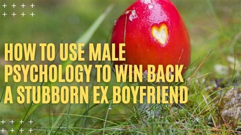 How To Use Male Psychology To Win Back A Stubborn Ex Boyfriend Win