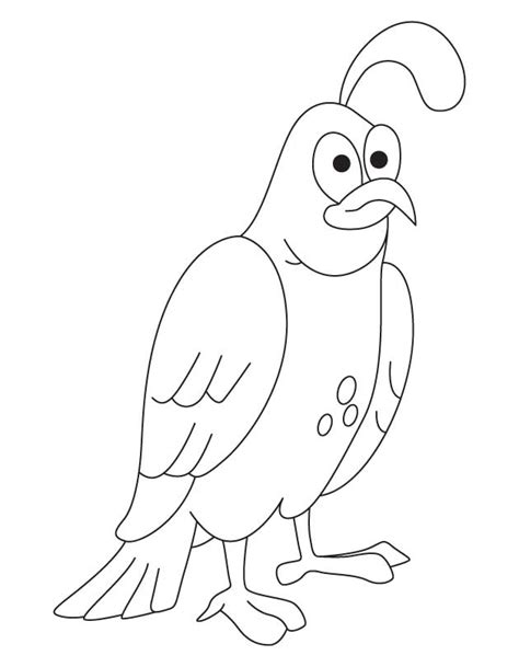 Quail drawing online for free. Quail Coloring Pages - Coloring Home