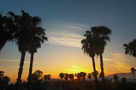 Beautiful Sunset With Palm Trees Riverside California Photograph By
