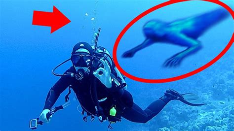 5 Mysterious Underwater Creatures Caught On Camera And Spotted In Real