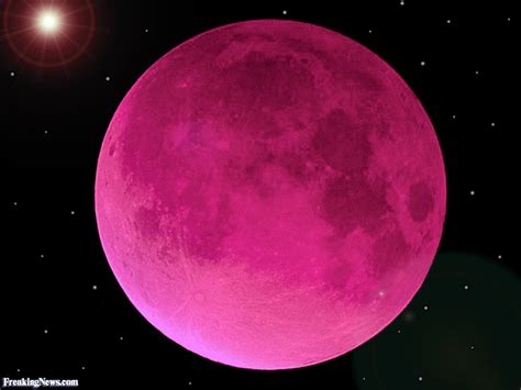 Pink moon lyrics as written by nick drake. Pink Moon Pictures