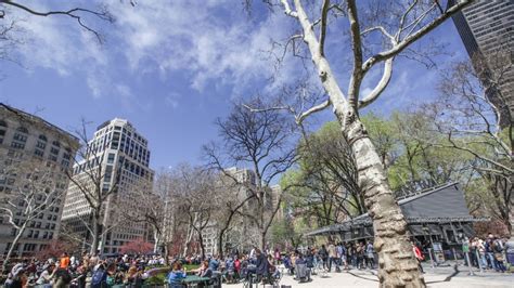 The Best Outdoor Dining In New York City Hertz Blog