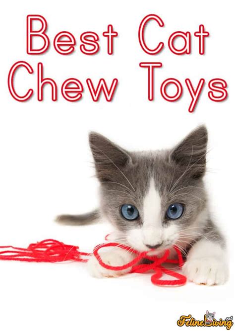 5 Best Cat Chew Toys In October 2023 Buyers Guide And Reviews