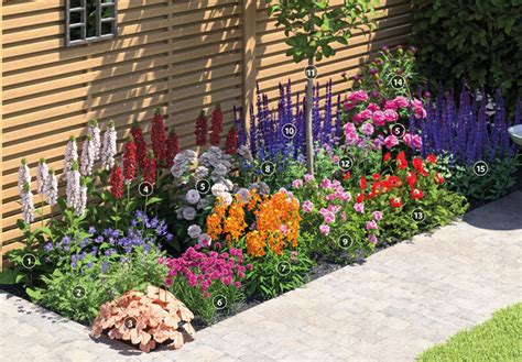 Create A Summer Flower Border Squires Garden Centres