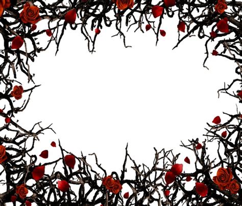 Mq Red Black Roses Gothic Frame Frames Border Borders Thorny Vines With Roses Clipart Full