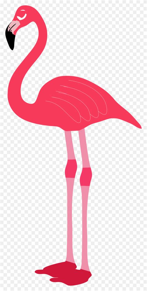 Pink Flamingo Clip Art Free Cliparts And Others Art Inspiration