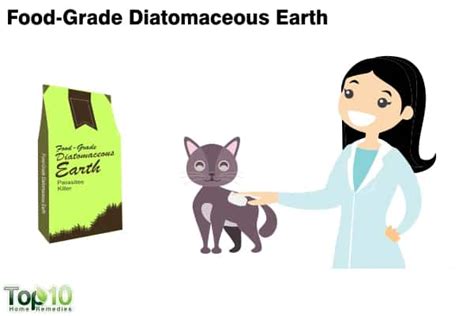 Food grade diatomaceous earth for cats. Home Remedies for Fleas on Cats | Top 10 Home Remedies