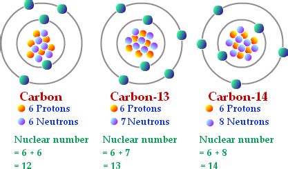 All elements are made up of atoms, and all atoms consist of a nucleus containing positively charged protons and neutral neutrons surrounded by a negatively. A normal carbon atom has 6 neutrons, and carbon-12 has 6 ...