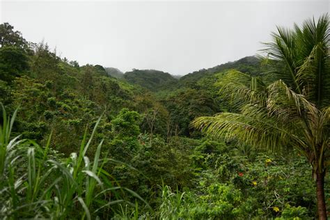 Puerto Rico 2010