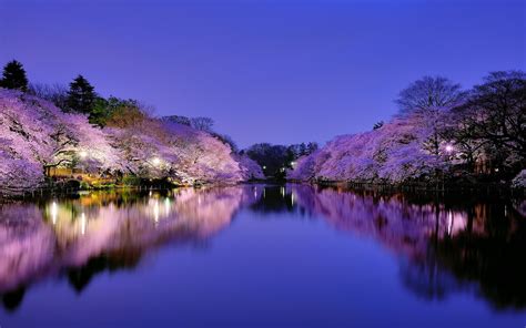 Hd wallpapers and background images Japanese Wallpapers for Desktop - WallpaperSafari