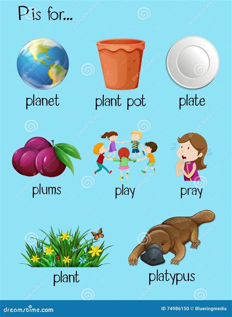 Many Words Begin with Letter P Stock Vector - Illustration of letters