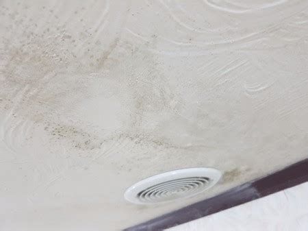 Sometimes you see them, sometimes you absorbent or porous materials, such as drywall or ceiling tiles, may need to be removing mold and mildew from books and paper. Removing Mold from Painted Walls and Ceiling | ThriftyFun