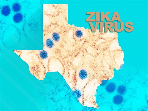 Sexual Transmission Of Zika Virus Reported In Texas