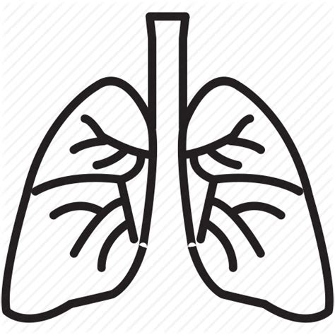 Lung Clipart Best Png Transparent Background Free Download 25427